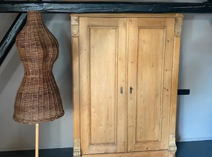 Fridolin 아파트 첼 안 데어 모젤