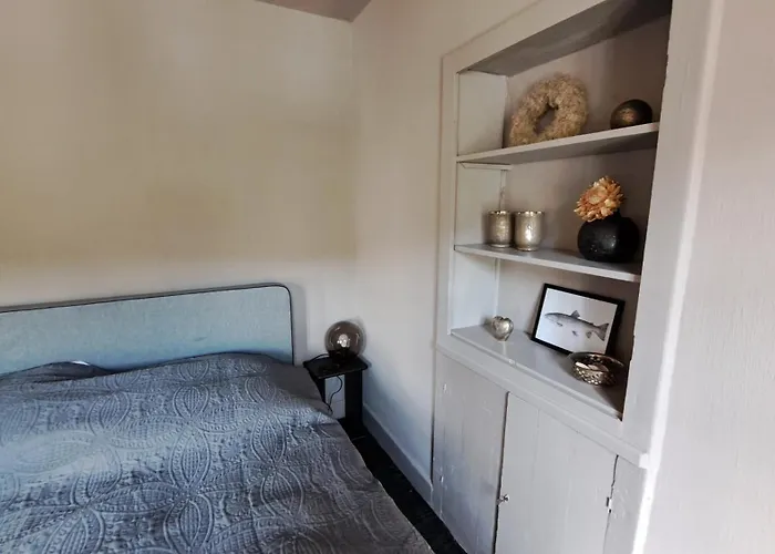 Fridolin * 첼 안 데어 모젤