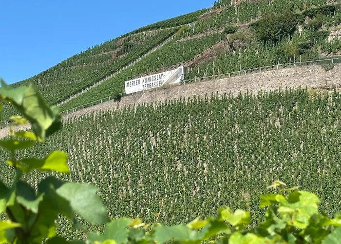 Fridolin 첼 안 데어 모젤